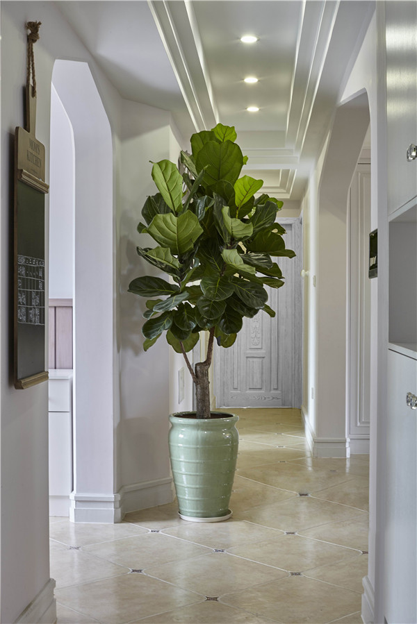 ���к�����091